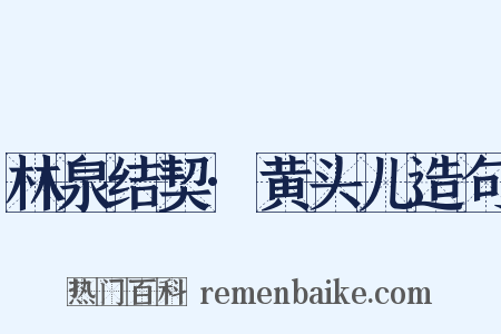 林泉结契·黄头儿造句是什么意思的图片